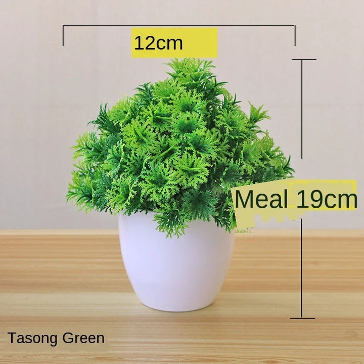 Lisslune | Small Tree Pot Bonsai Plants