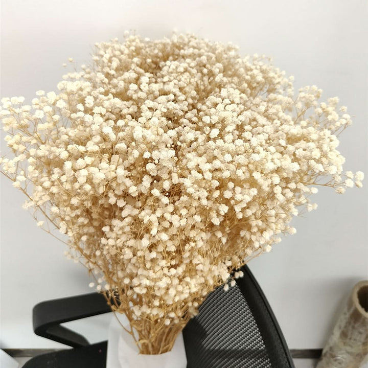 Lisslune | Dried Preserved Gypsophila Flower Bouquet – Natural Decor