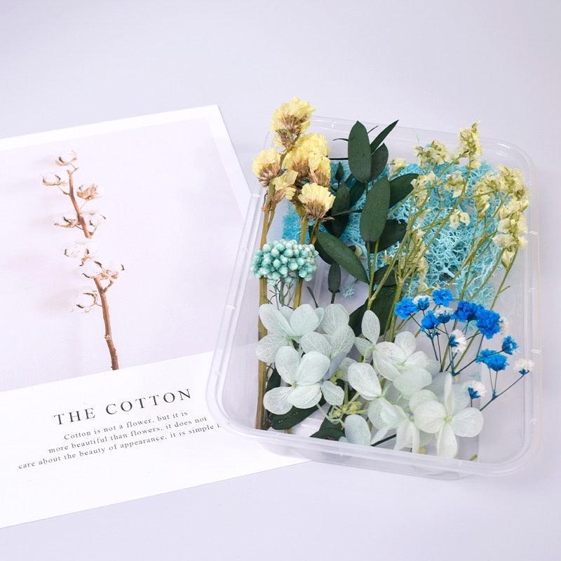Lisslune | Eternal Floral Inspirations: Preserved Petals for Creative Expressions