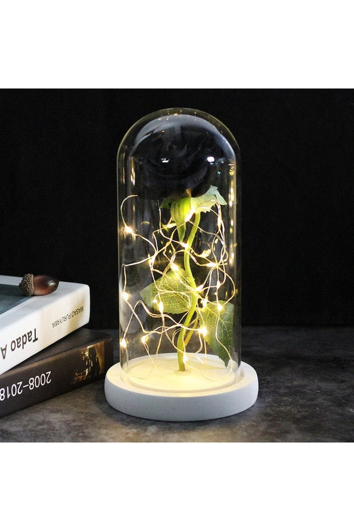 Lisslune | illuminated enchanted rose lamp