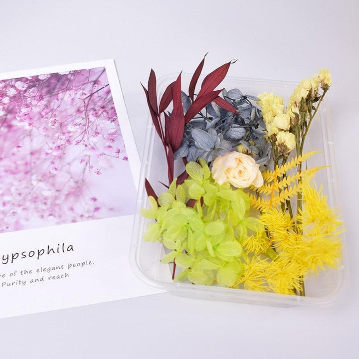 Lisslune | Eternal Floral Inspirations: Preserved Petals for Creative Expressions