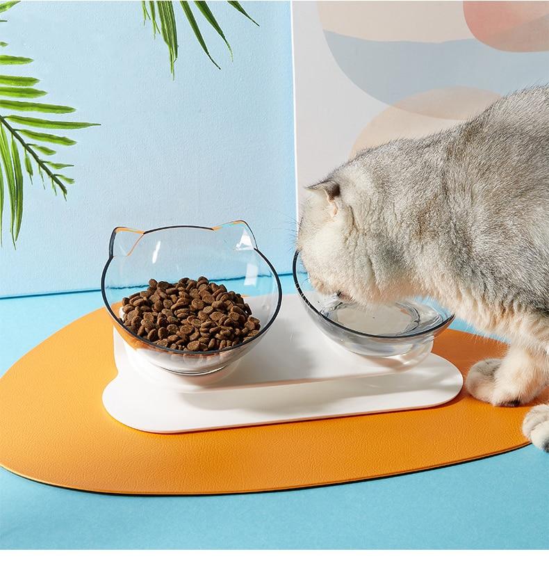 Lisslune | Orthopedic Anti-Vomiting Bowl for Cats