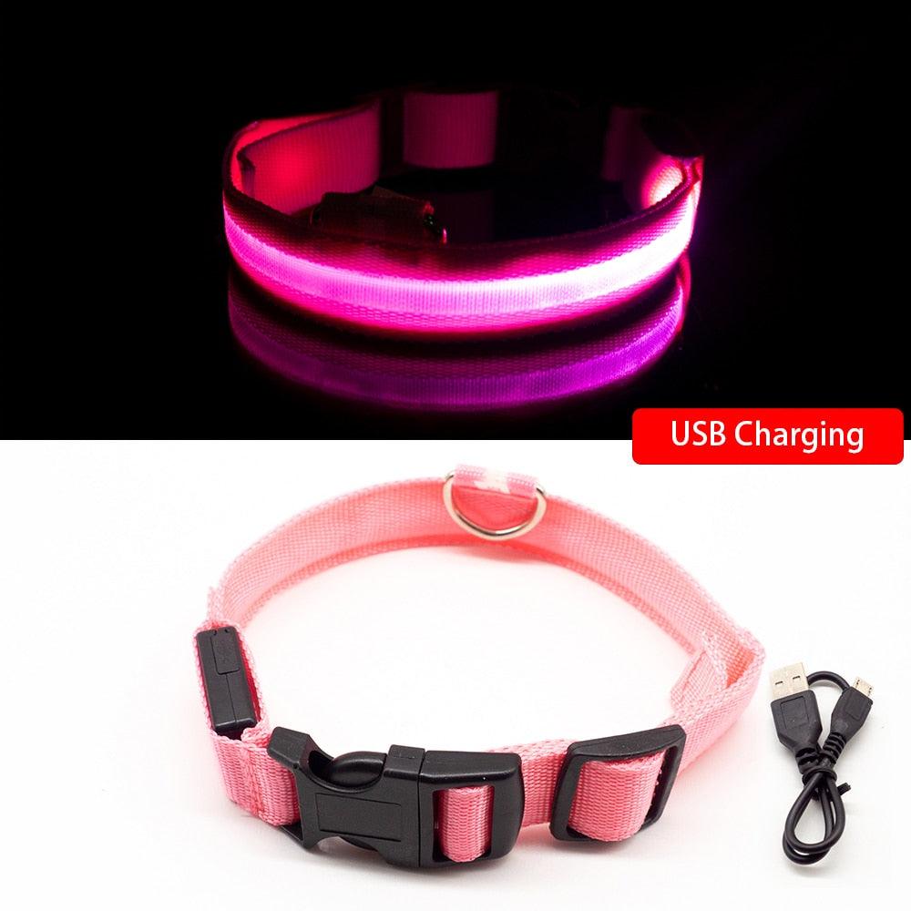 Lisslune | Light & Protect: Rechargeable Waterproof LED Dog Collar for Enhanced Nighttime Safety