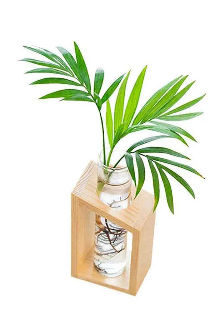 Lisslune | Plant pot