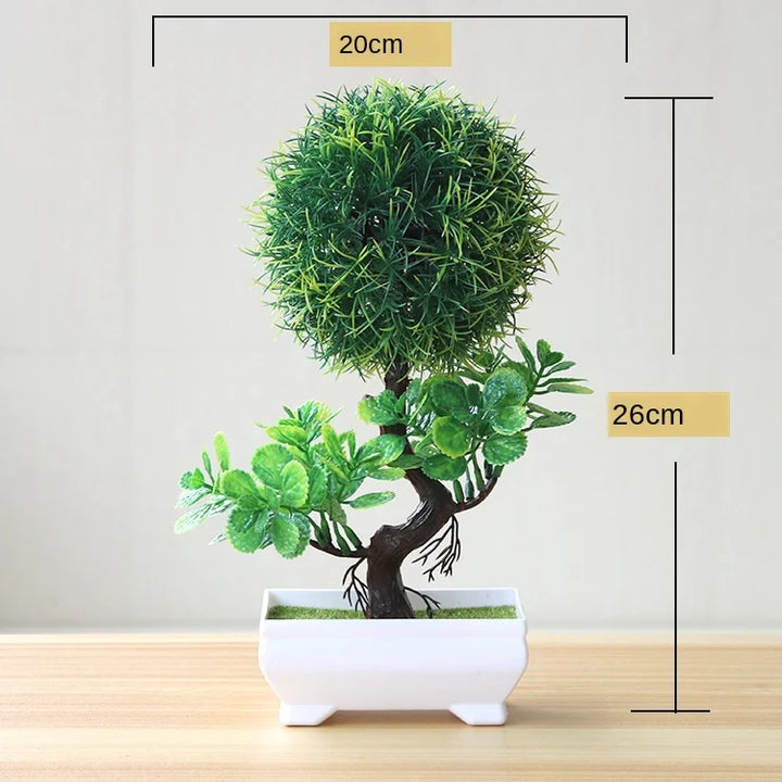 Lisslune | Small Tree Pot Bonsai Plants