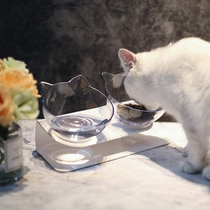 Lisslune | Orthopedic Anti-Vomiting Bowl for Cats