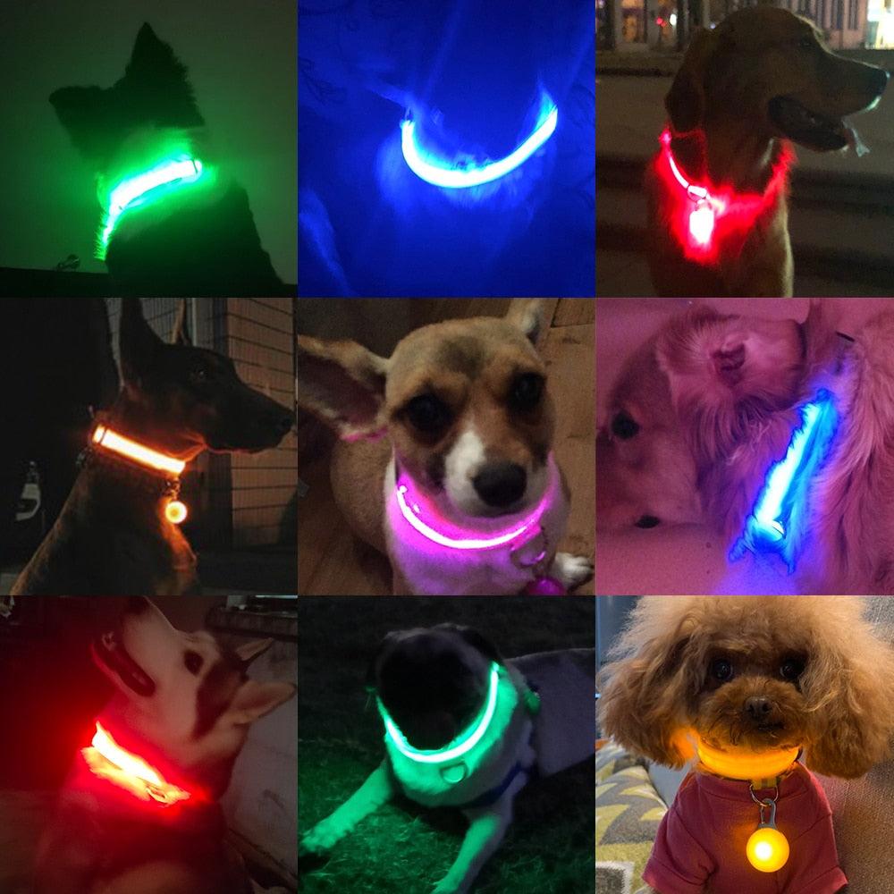 Lisslune | Light & Protect: Rechargeable Waterproof LED Dog Collar for Enhanced Nighttime Safety