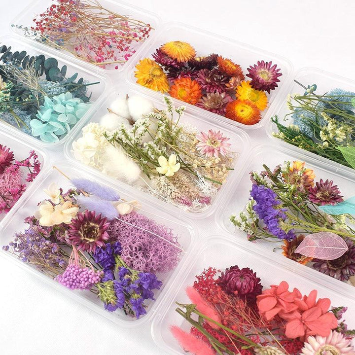 Lisslune | Eternal Floral Inspirations: Preserved Petals for Creative Expressions