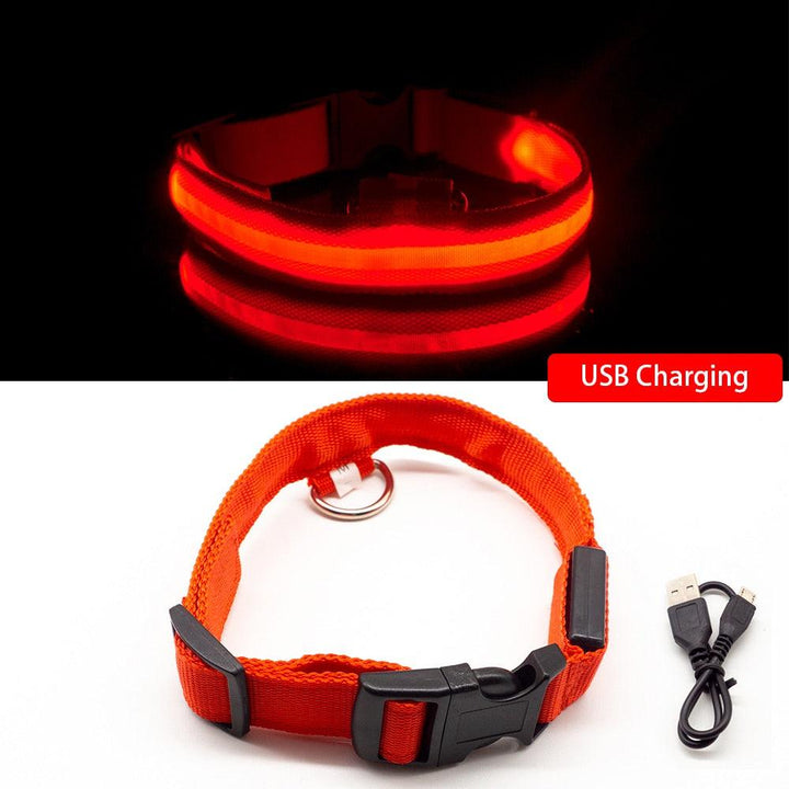 Lisslune | Light & Protect: Rechargeable Waterproof LED Dog Collar for Enhanced Nighttime Safety