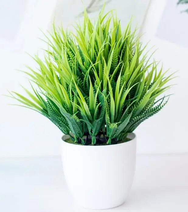 Lisslune | Small Tree Pot Bonsai Plants