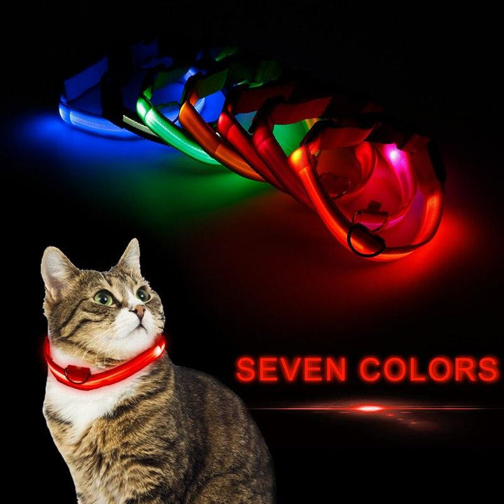 Lisslune | LED USB glowing dog collar