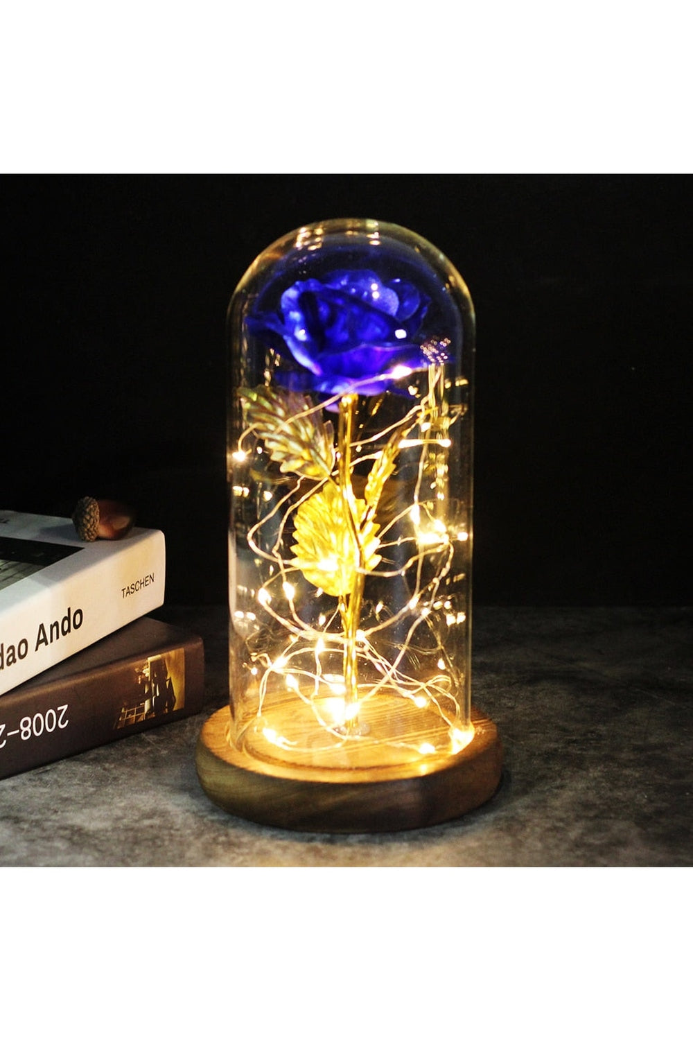 Lisslune | illuminated enchanted rose lamp