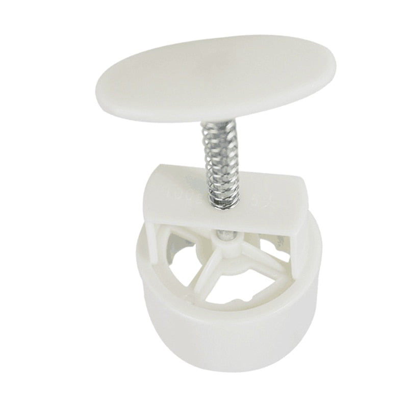 Lisslune | Cake Decorating Mold Press