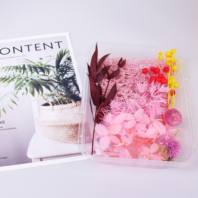 Lisslune | Eternal Floral Inspirations: Preserved Petals for Creative Expressions