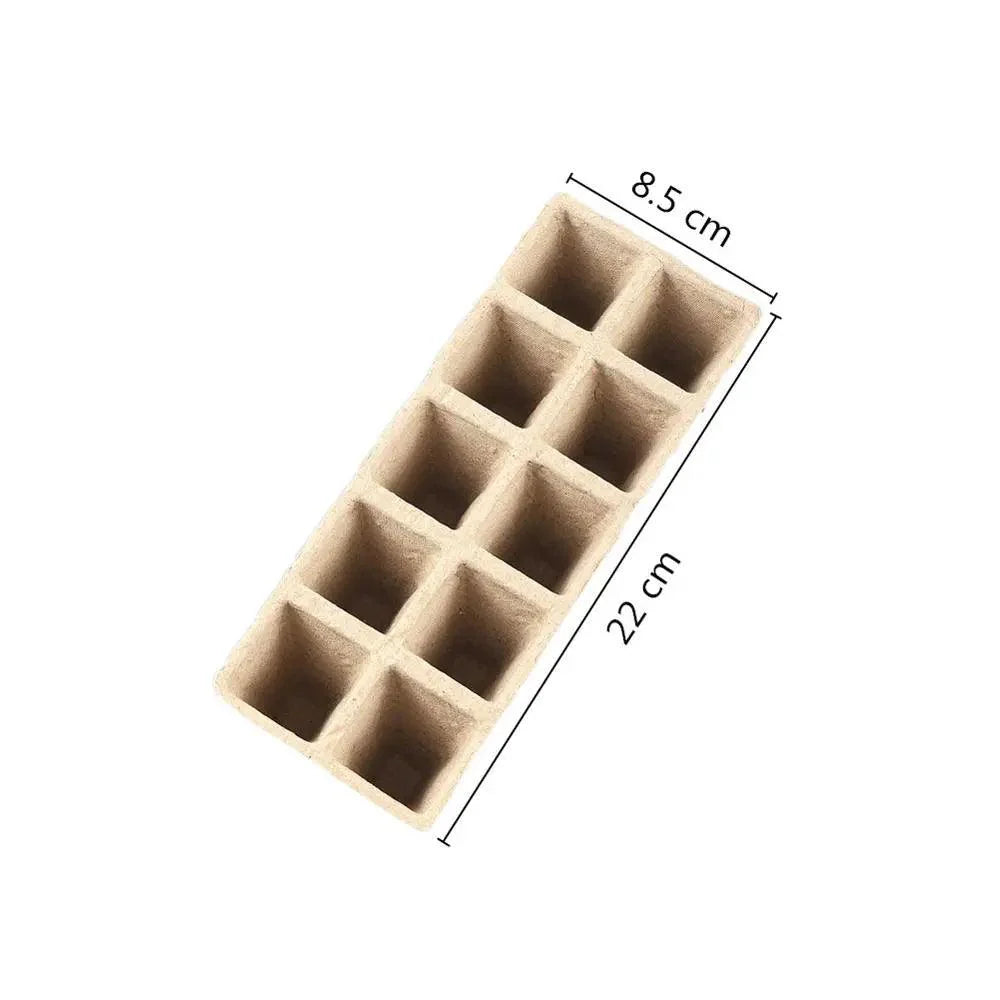 Lisslune | Eco-friendly Biodegradable Seedling Starter Kit with 5 Paper Pulp Pots
