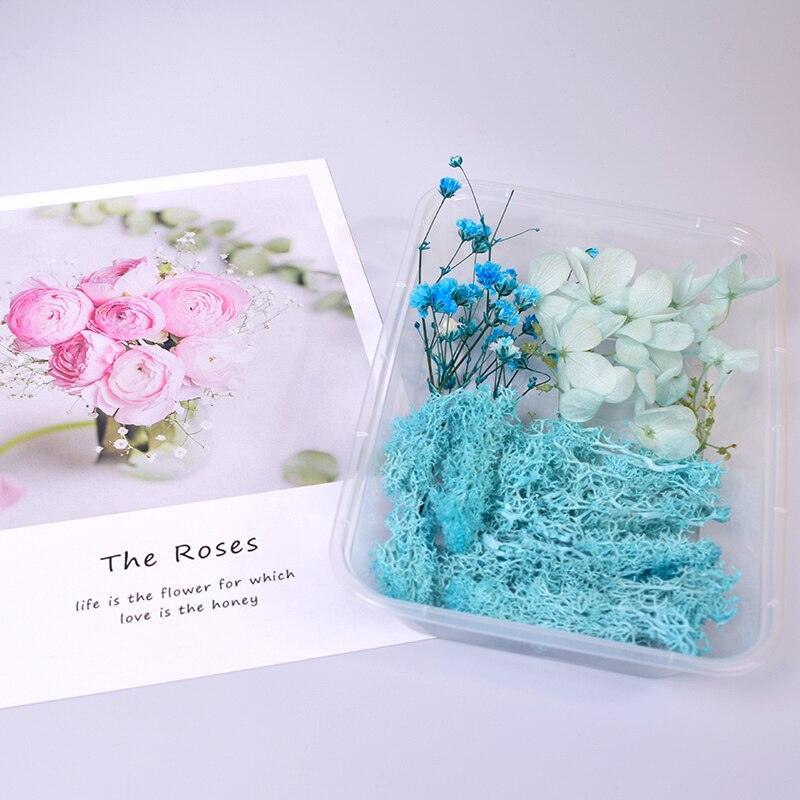 Lisslune | Eternal Floral Inspirations: Preserved Petals for Creative Expressions