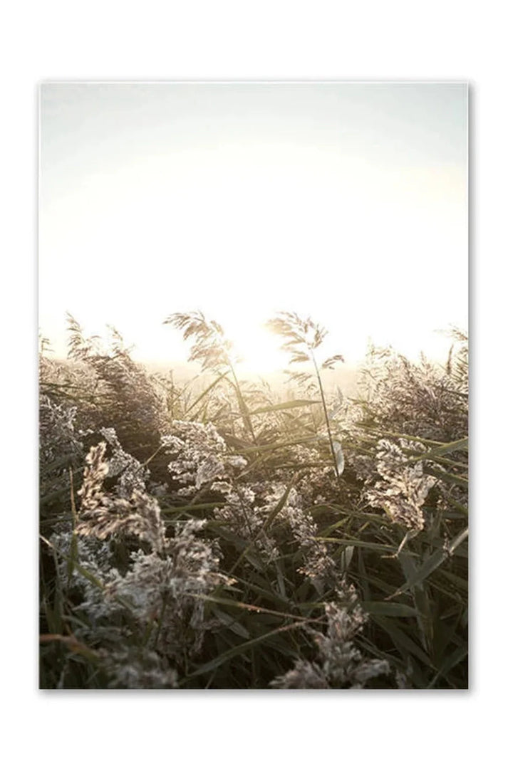 Lisslune | Academy Nordic Nature Canvas Poster
