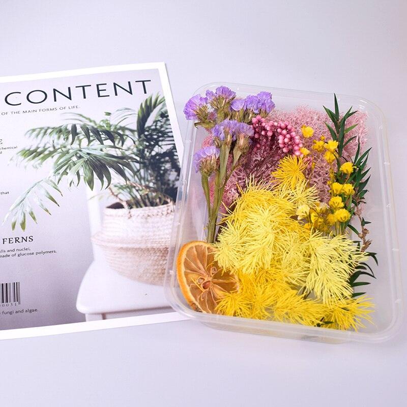 Lisslune | Eternal Floral Inspirations: Preserved Petals for Creative Expressions