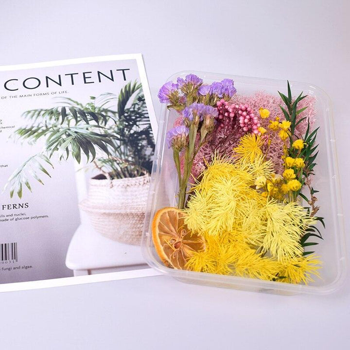 Lisslune | Eternal Floral Inspirations: Preserved Petals for Creative Expressions