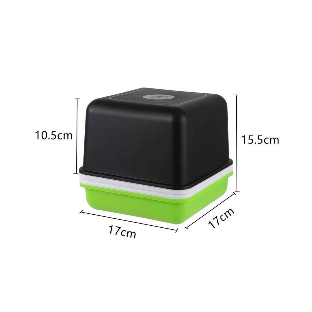 Lisslune | Hydroponic Peanut Sprout Growth Kit with Complete Basin System for Home Gardening