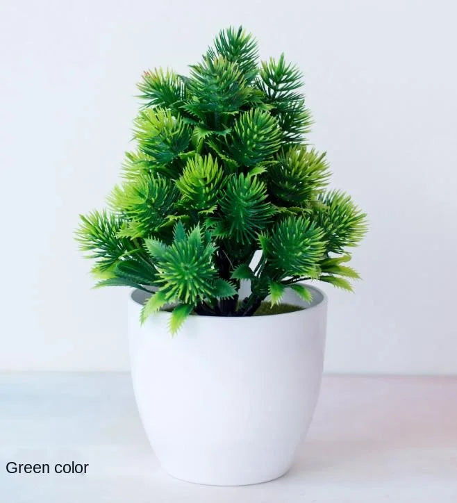 Lisslune | Small Tree Pot Bonsai Plants