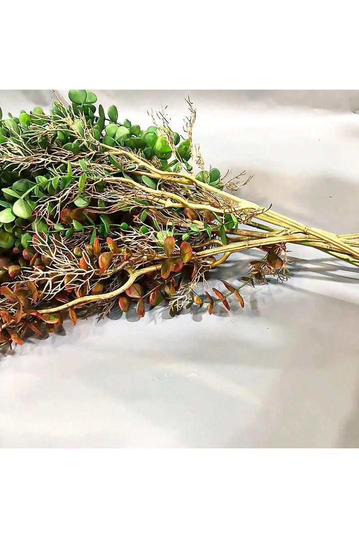 Lisslune | Climbing Artificial Plants