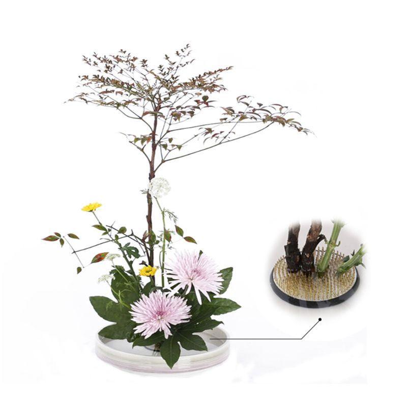 Lisslune | Sophisticated Round Kenzan Flower Frog Set for exquisite floral creations