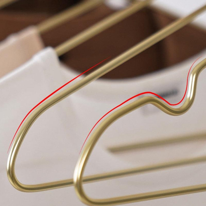 Lisslune | Elegant Metal Hanger Collection - 10-piece Set for Optimal Closet Management