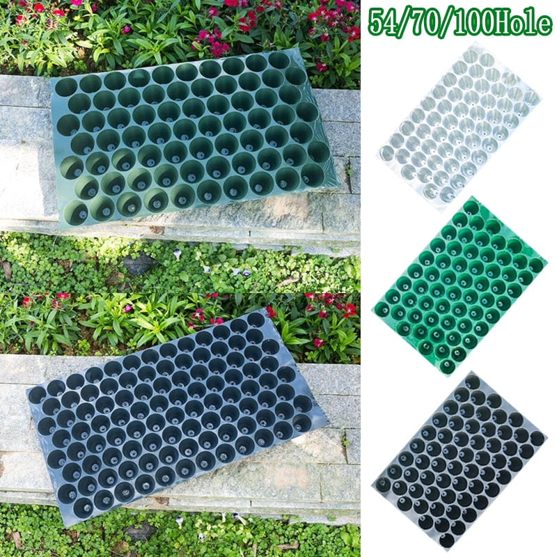 Lisslune | Sustainable Gardening Plant Growth Tray Kit for Eco-Conscious Gardeners