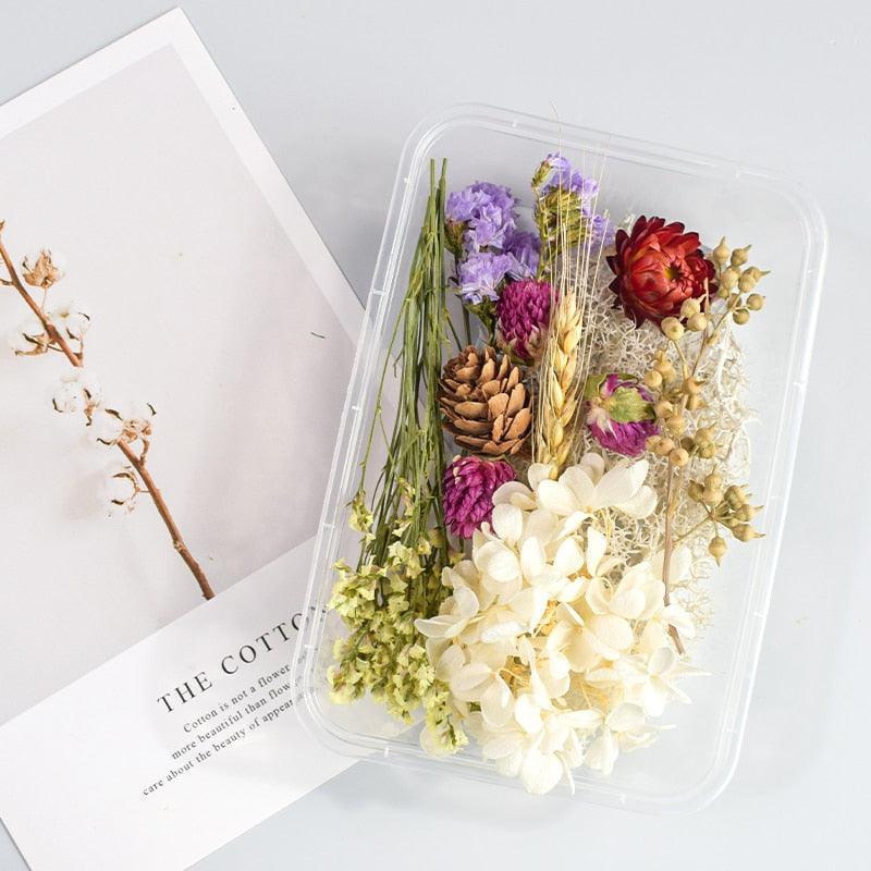 Lisslune | Eternal Floral Inspirations: Preserved Petals for Creative Expressions