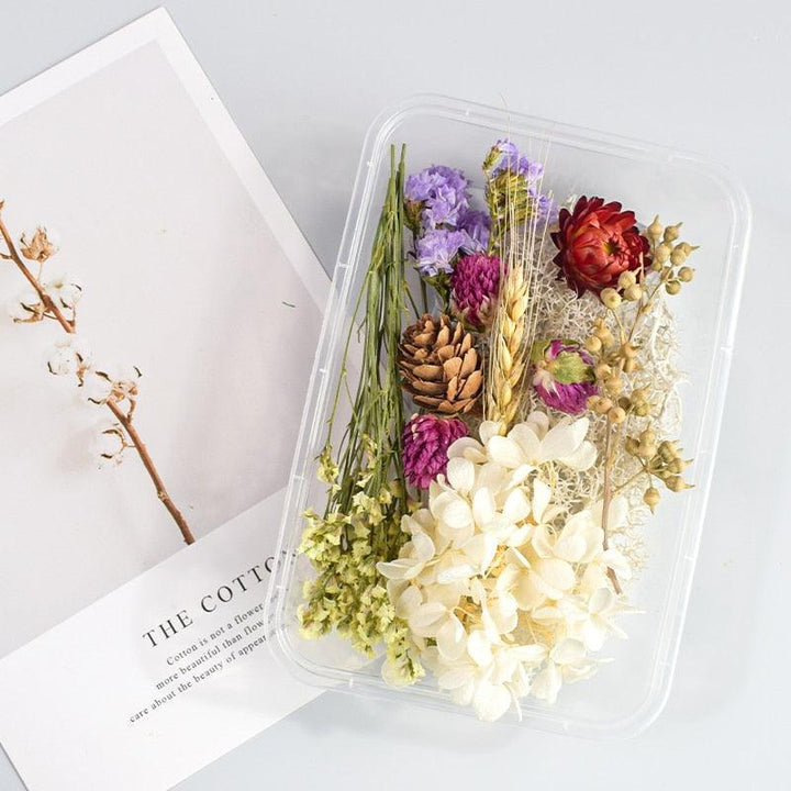Lisslune | Eternal Floral Inspirations: Preserved Petals for Creative Expressions