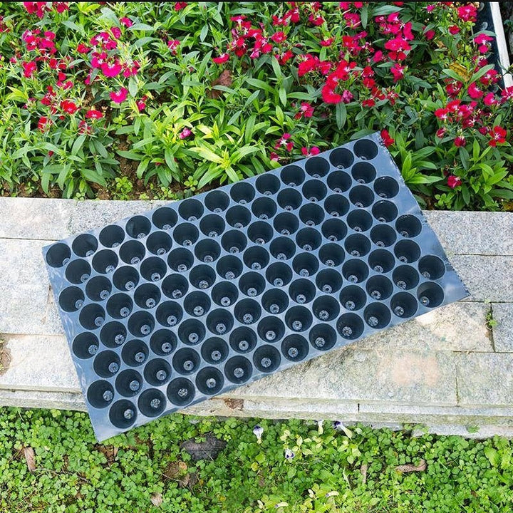 Lisslune | Sustainable Gardening Plant Growth Tray Kit for Eco-Conscious Gardeners