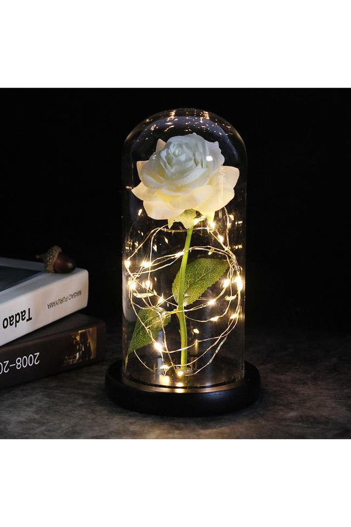 Lisslune | illuminated enchanted rose lamp