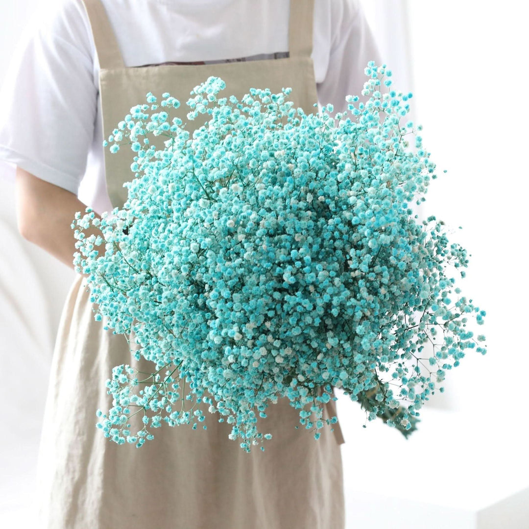 Lisslune | Dried Preserved Gypsophila Flower Bouquet – Natural Decor