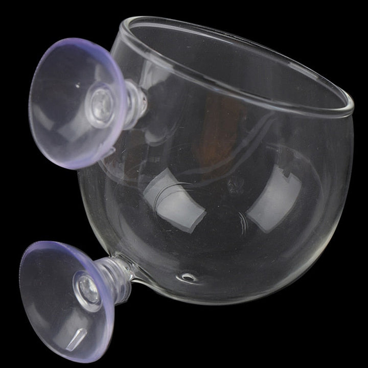 Lisslune | Creative Aquarium Fish Tank Glass Vase