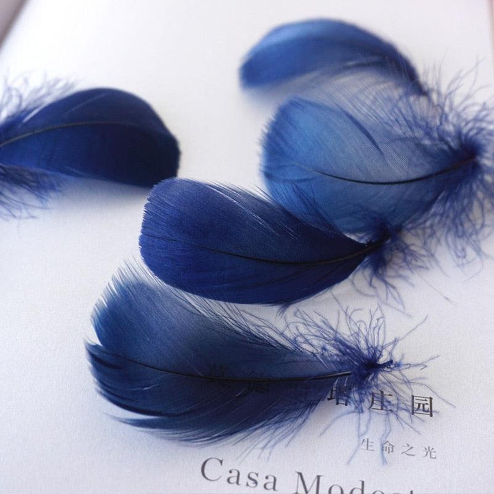 Lisslune | Feather Elegance Craft Kit: Enhance weddings, fashion, and creative projects