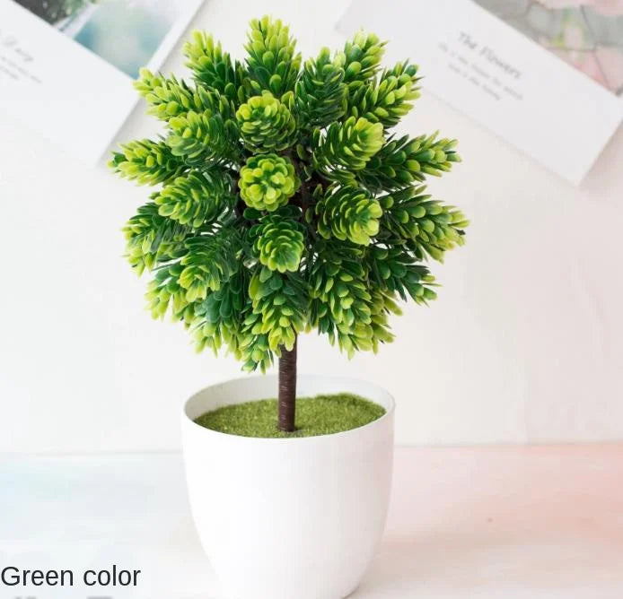 Lisslune | Small Tree Pot Bonsai Plants