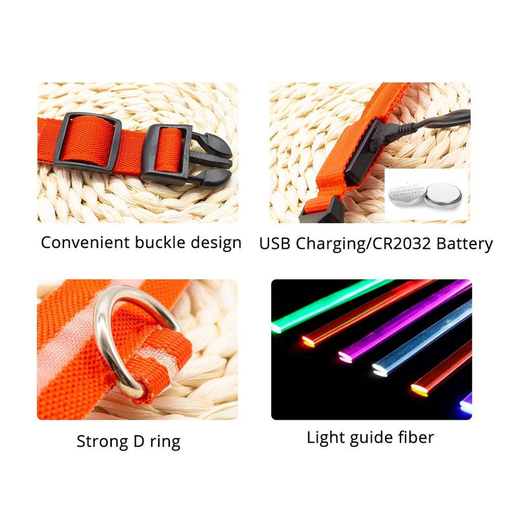 Lisslune | Light & Protect: Rechargeable Waterproof LED Dog Collar for Enhanced Nighttime Safety