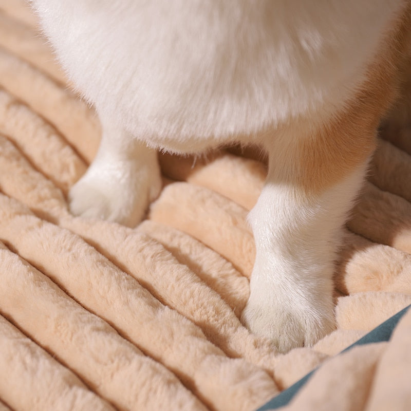 Lisslune | CalmCloud Dog Bed