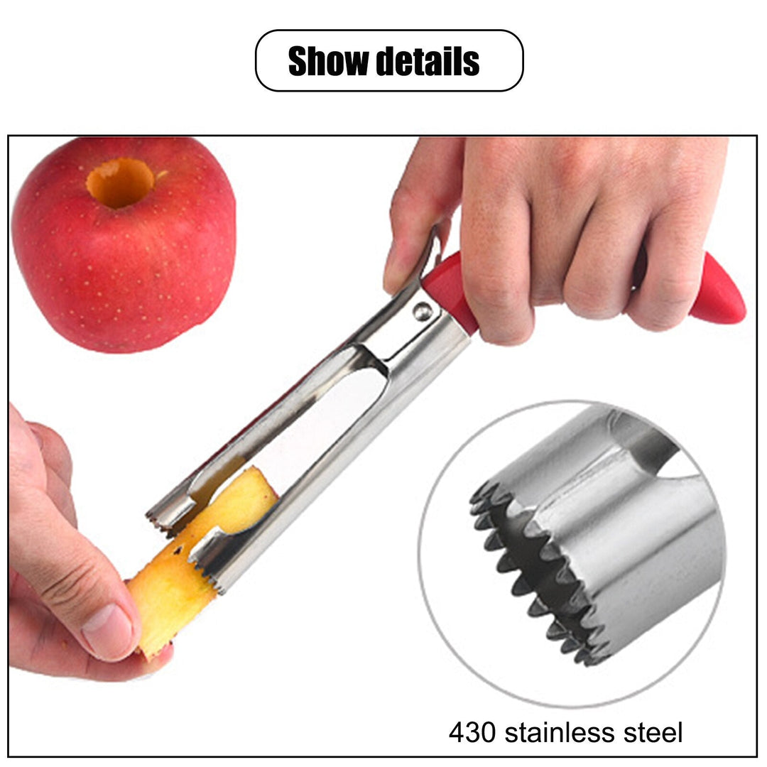 Lisslune | Stainless Steel Apple Seed Remover Tool