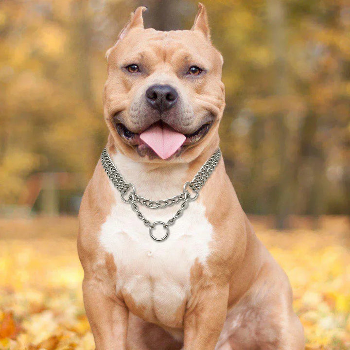 Lisslune | Stainless Steel Dog Training Necklace