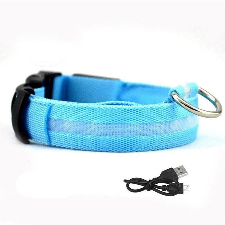 Lisslune | LED USB glowing dog collar