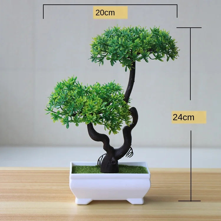 Lisslune | Small Tree Pot Bonsai Plants