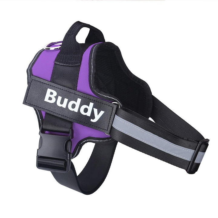 Lisslune | Personalized Anti-Pull Dog Harness