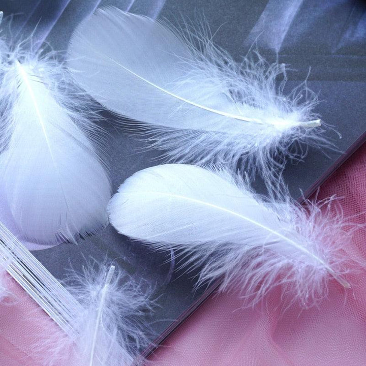 Lisslune | Feather Elegance Craft Kit: Enhance weddings, fashion, and creative projects