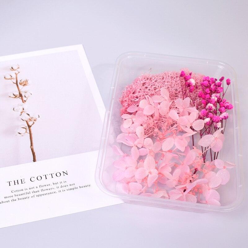 Lisslune | Eternal Floral Inspirations: Preserved Petals for Creative Expressions