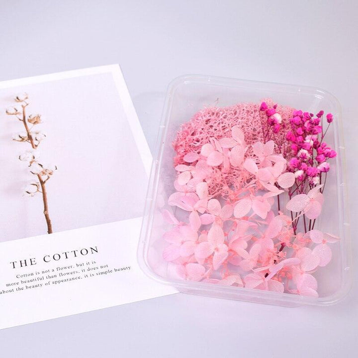 Lisslune | Eternal Floral Inspirations: Preserved Petals for Creative Expressions
