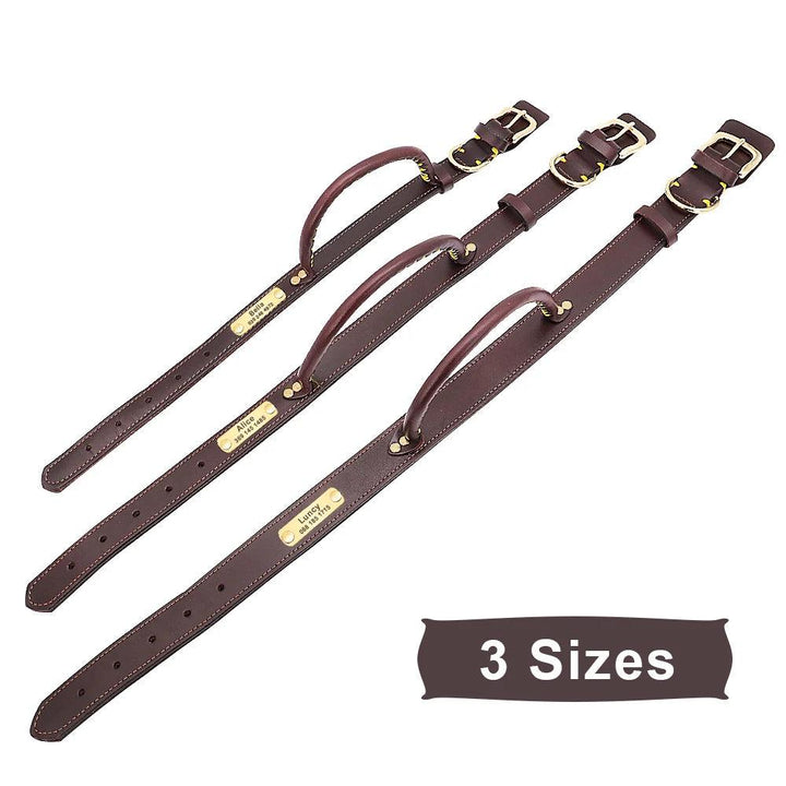Lisslune | Custom Engraved Premium Leather Dog Collar with Control Handle for Medium to Large Breeds
