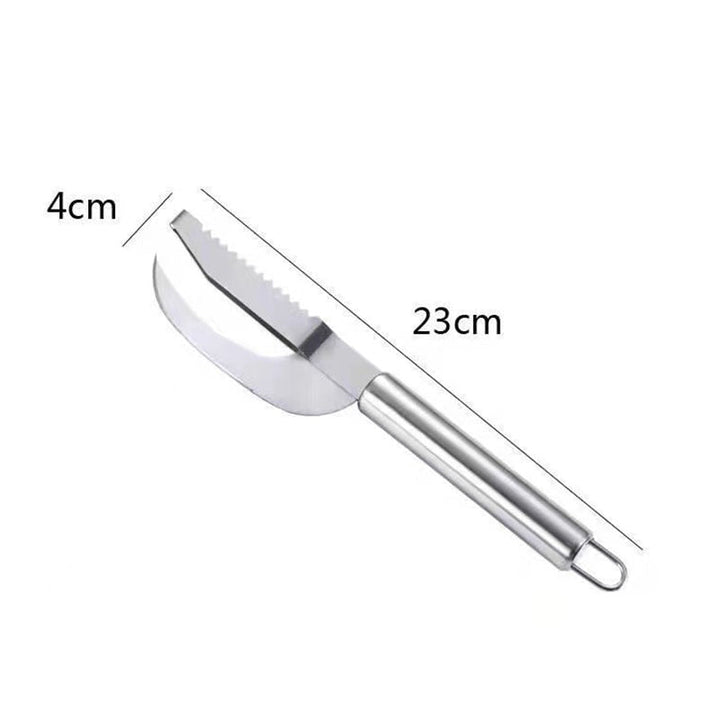 Lisslune | Stainless Steel Fish Cleaner Tool