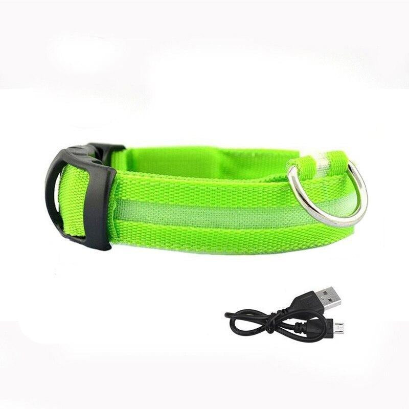 Lisslune | LED USB glowing dog collar